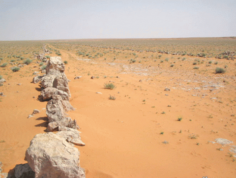 رمال جزيرة العرب