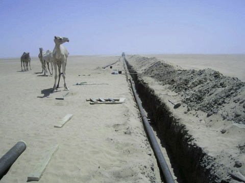 حصر ثاني أكسيد الكربون في الجزائر