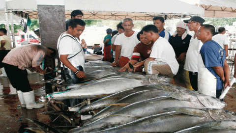 تجارة التونة